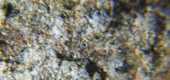 2017-02-07 08-32-40 (3).JPG