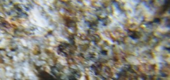 2017-02-07 08-32-40 (4).JPG