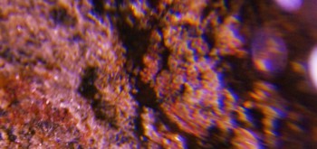 2017-02-07 08-33-08 (2).JPG