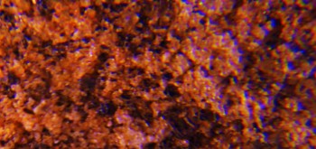 2017-02-07 08-33-20 (2).JPG