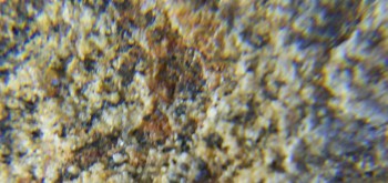 2017-02-07 08-33-58 (2).JPG