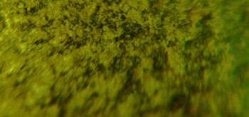 2017-02-07 08-34-22 (2).JPG