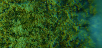 2017-02-07 08-34-46 (2).JPG