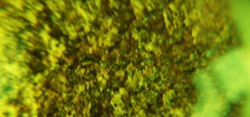 2017-02-07 08-35-20 (2).JPG