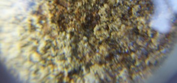 2017-02-07 08-35-20 (3).JPG