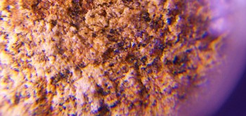 2017-02-07 08-35-34 (2).JPG