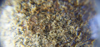 2017-02-07 08-35-34 (3).JPG