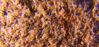 2017-02-07 08-36-00 (2).JPG