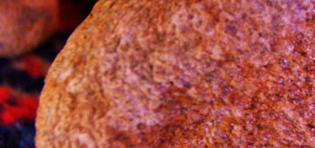 2017-02-07 08-36-14 (2).JPG