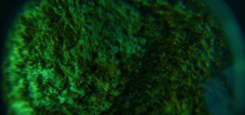 2017-02-07 08-36-56 (2).JPG