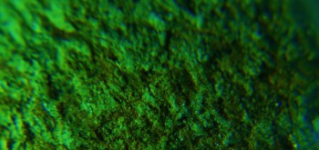 2017-02-07 08-37-36 (2).JPG