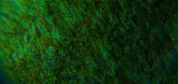 2017-02-07 08-37-36 (3).JPG