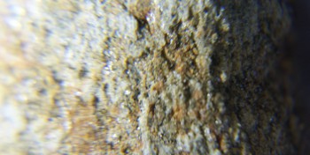 2017-02-07 08-38-18 (2).JPG