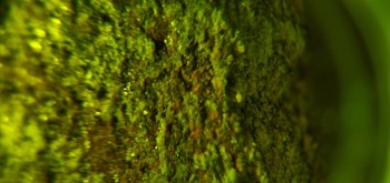 2017-02-07 08-38-18 (3).JPG