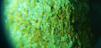 2017-02-07 08-38-22 (2).JPG