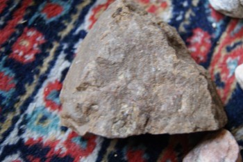 2017-03-06 11-44-48.JPG