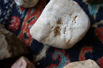 2017-03-06 11-45-06.JPG