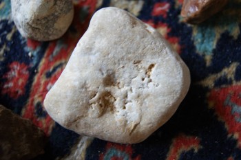 2017-03-06 11-45-16.JPG