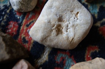 2017-03-06 11-45-26.JPG