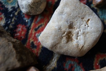 2017-03-06 11-45-34.JPG