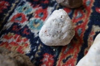 2017-03-06 11-45-50.JPG