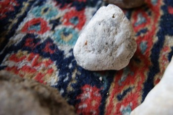 2017-03-06 11-45-56.JPG