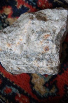 2017-03-06 11-46-16.JPG