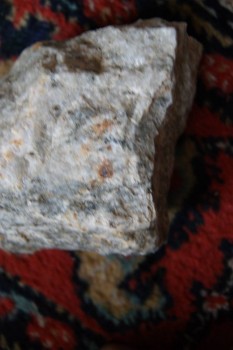 2017-03-06 11-46-24.JPG