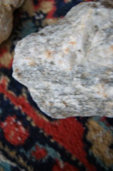 2017-03-06 11-46-32.JPG