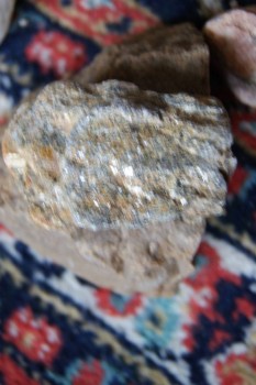 2017-03-06 11-47-28.JPG