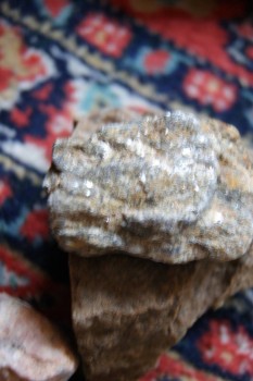 2017-03-06 11-47-48.JPG