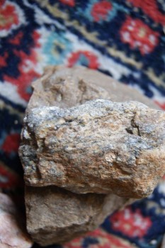 2017-03-06 11-48-06.JPG