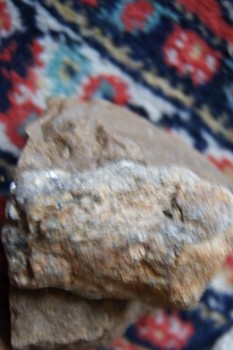 2017-03-06 11-48-12.JPG