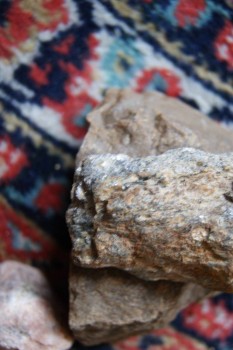 2017-03-06 11-48-16.JPG