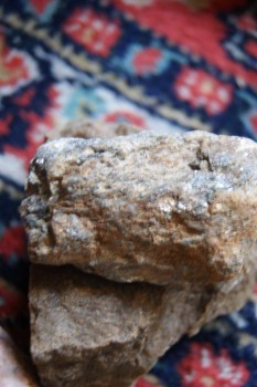 2017-03-06 11-48-26.JPG