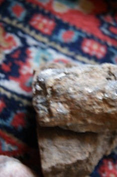 2017-03-06 11-48-34.JPG