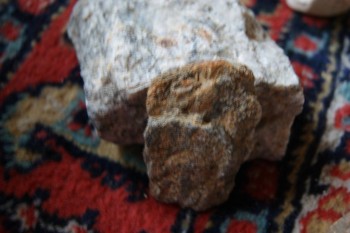 2017-03-06 11-48-56.JPG