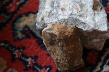 2017-03-06 11-49-10.JPG