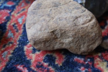 2017-03-06 11-49-22.JPG