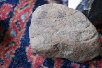 2017-03-06 11-49-30.JPG