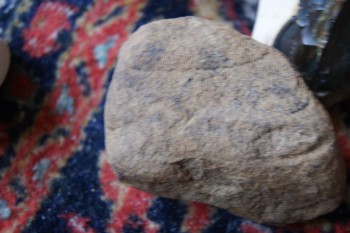 2017-03-06 11-49-36.JPG