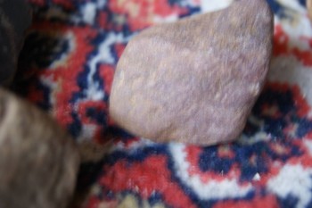 2017-03-06 11-49-58.JPG