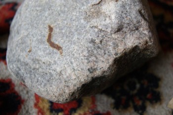 2017-03-06 11-50-30.JPG