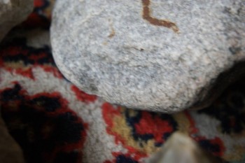 2017-03-06 11-50-40.JPG