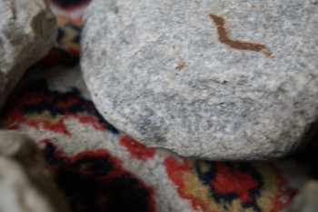 2017-03-06 11-50-46.JPG