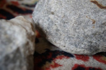 2017-03-06 11-50-54.JPG