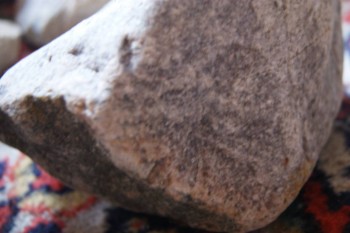 2017-03-06 11-51-06.JPG