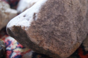 2017-03-06 11-51-18.JPG