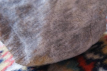 2017-03-06 11-51-52.JPG