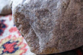 2017-03-06 11-51-58.JPG